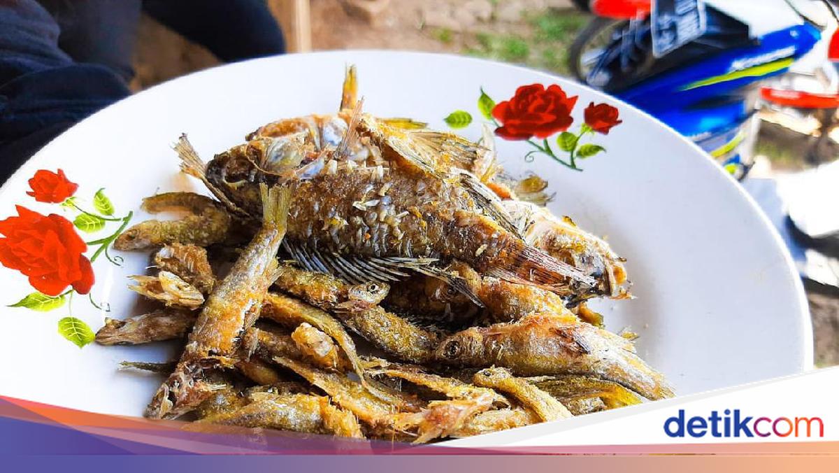 Rahasia Rasa Ndeso: Kedai yang Mengajak Anda Menjelajahi Kuliner Cilacap
